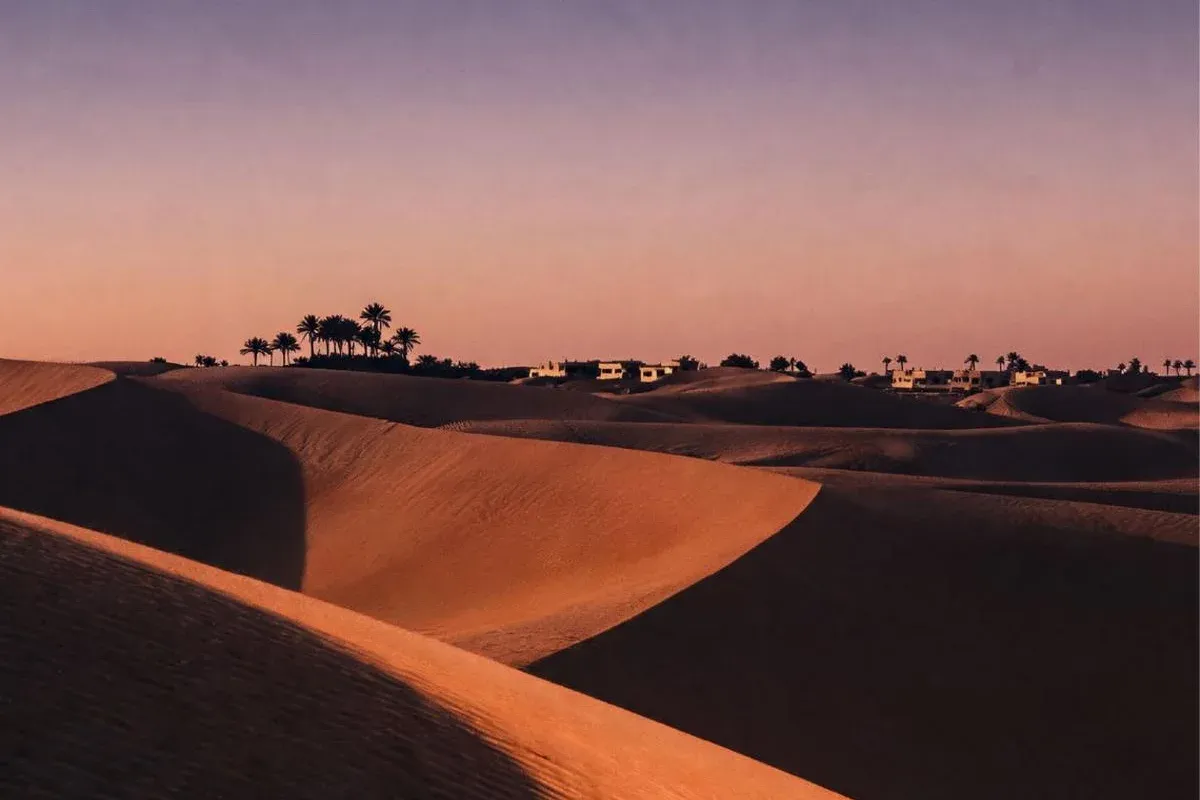 Dunes at dusk under a violet sky, palms and low houses on the far crest